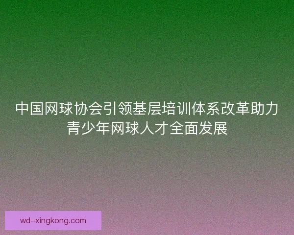 中国网球协会引领基层培训体系改革助力青少年网球人才全面发展